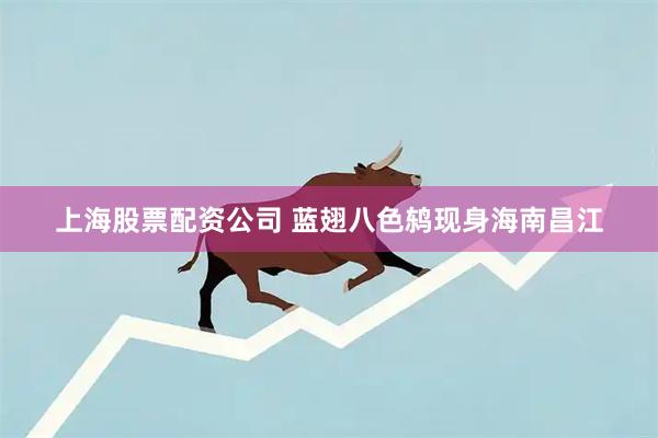 上海股票配资公司 蓝翅八色鸫现身海南昌江