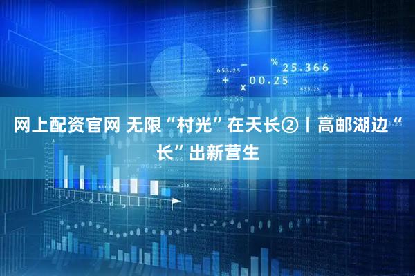 网上配资官网 无限“村光”在天长②丨高邮湖边“长”出新营生